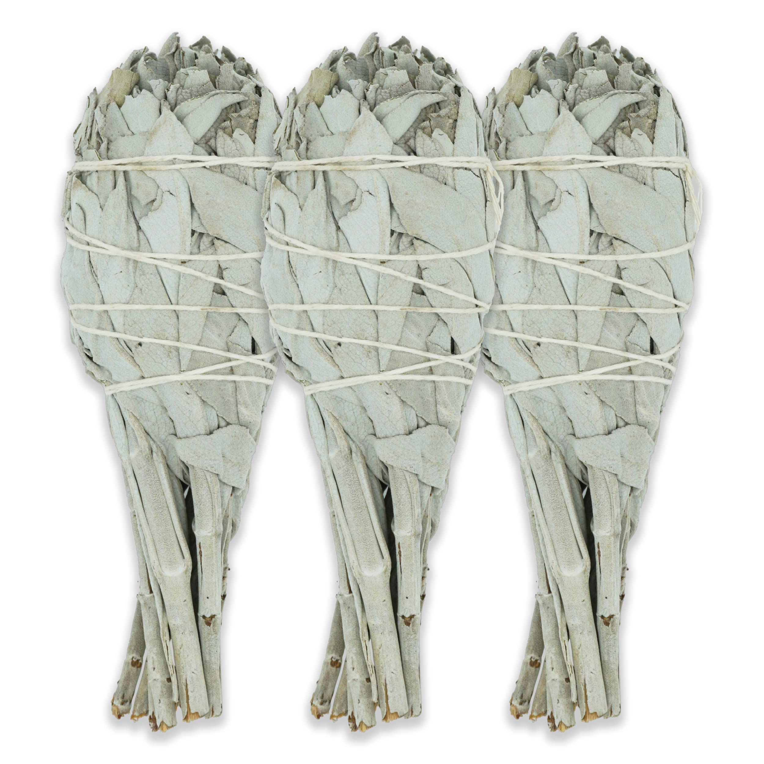 White Sage Torch 4" - 3 Spiritual Sage Sticks for Smudging, Healing and Ritual - Hand-Tied Smudge Sticks to Cleanse Negativity - Sustainably Harvested 4 Inch Californian Sage Bundle