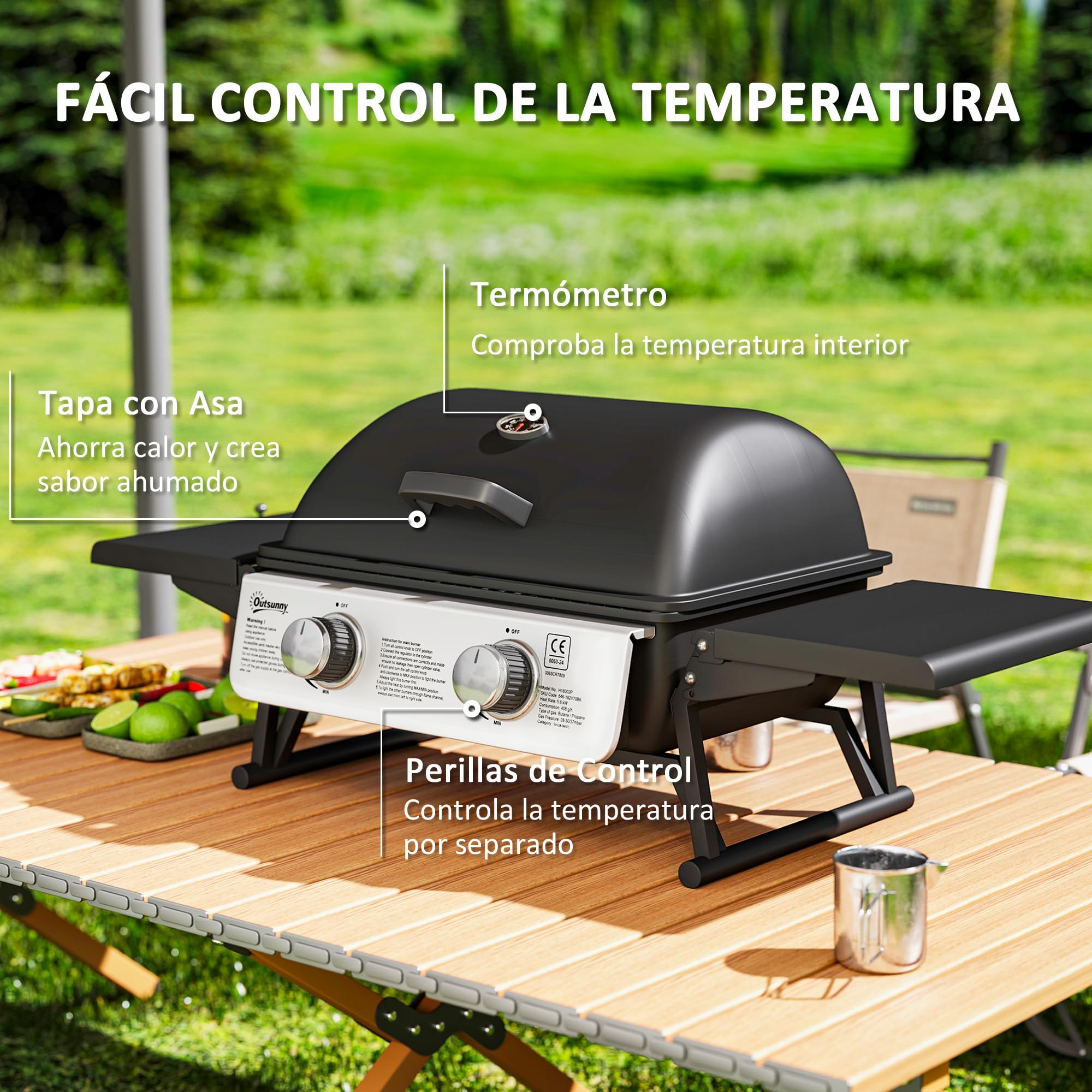 Outsunny Barbacoa de Gas con 2 Quemadores de Acero Inoxidable 5,6 KW Barbacoa Portátil con Mesas Laterales Plegables Bandeja Extraíble y Termómetro para Pícnic Camping 101x48x41 cm Negro