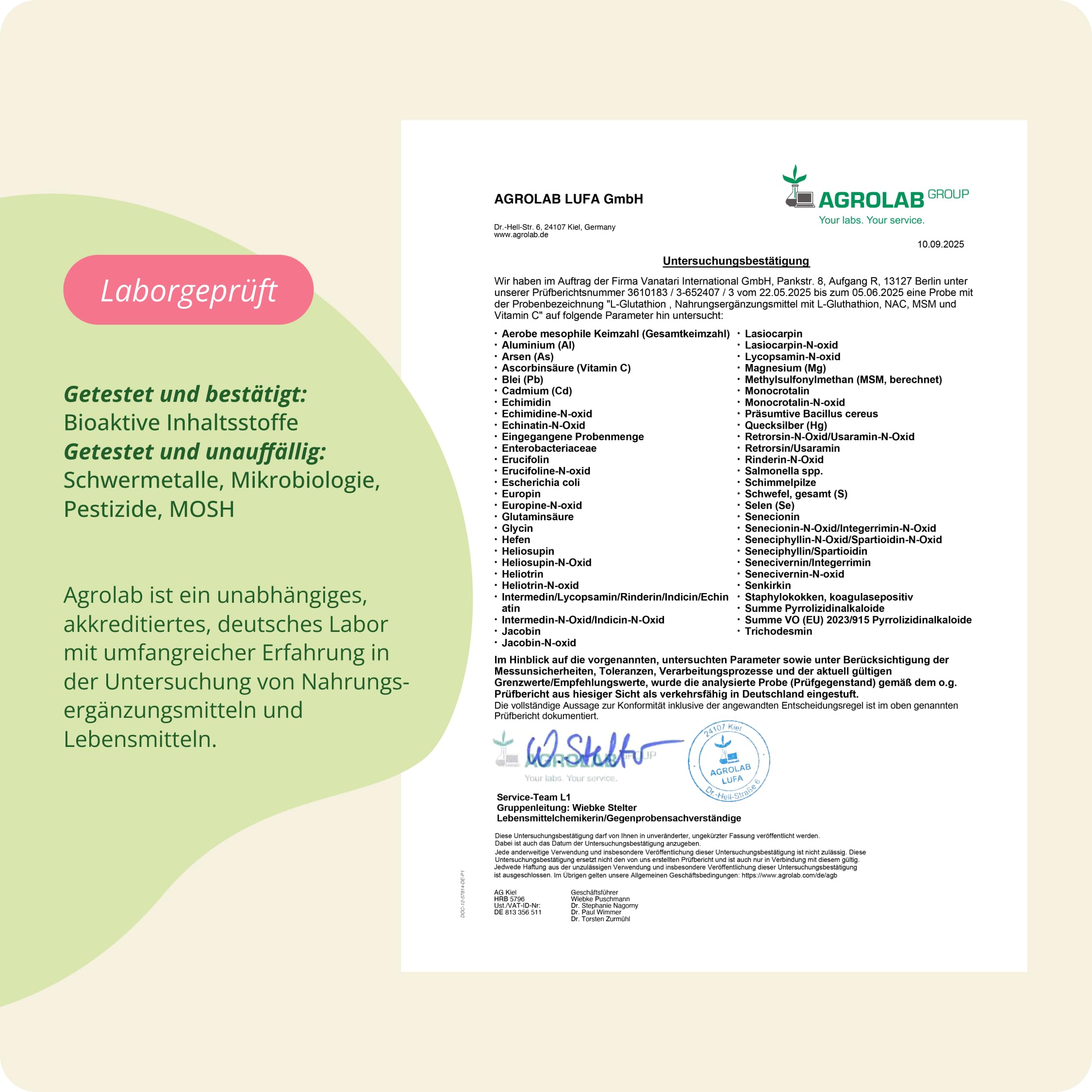 Vegavero L-Glutathion Complex 180 Kapseln - liposomales reduziertes L-Glutathion mit NAC, Glycin, L-Glutamin & liposomalem Vitamin C - mit Mariendistel, Curcuma, Selen – Vegan & Laborgeprüft