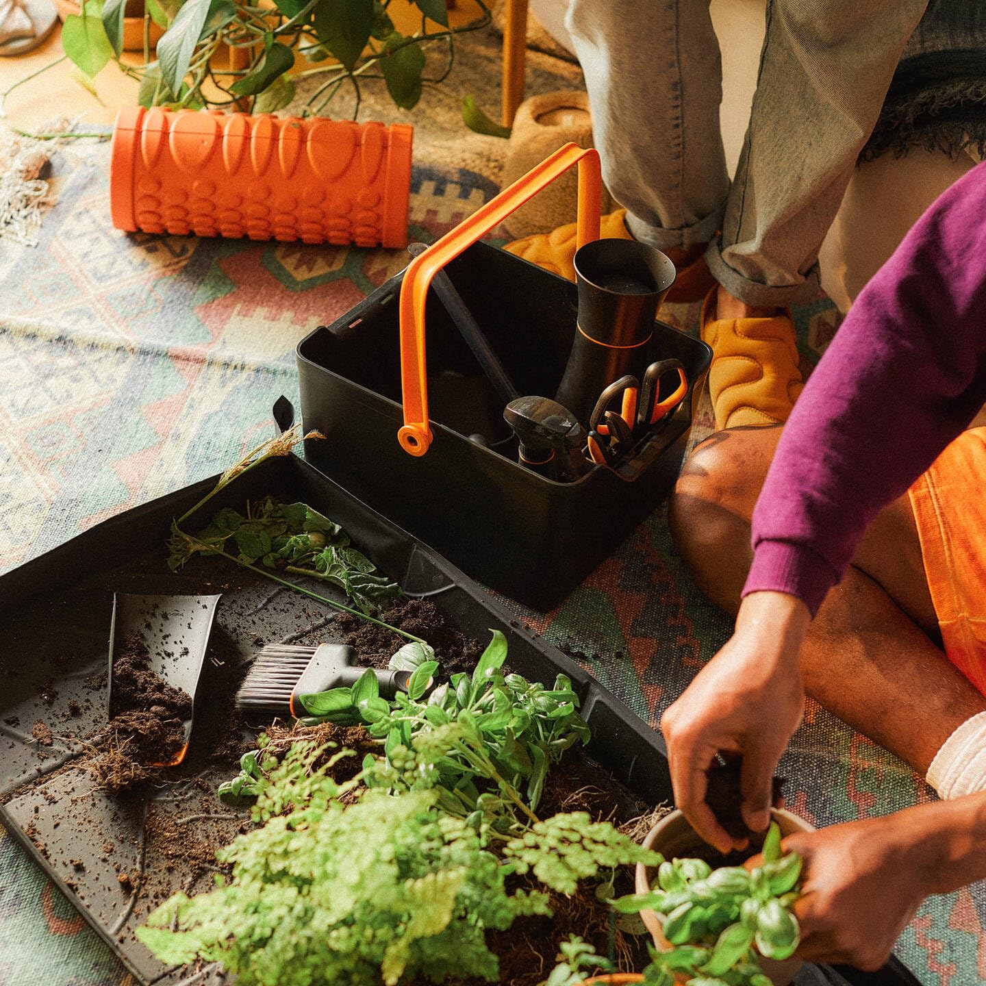 Fiskars Urban Plant Care Set 7 pcs, Black/Orange : Amazon.com.be: Sports &  Outdoors