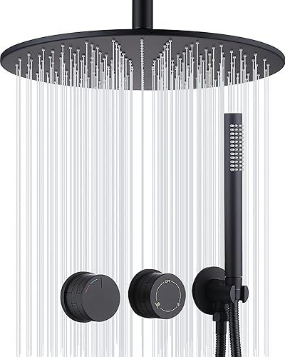 TRUSTMI Sistema de ducha de 12 pulgadas, juego de ducha de lluvia y mano de equilibrio de presión, juego de ducha de 2 manijas montadas en la pared,