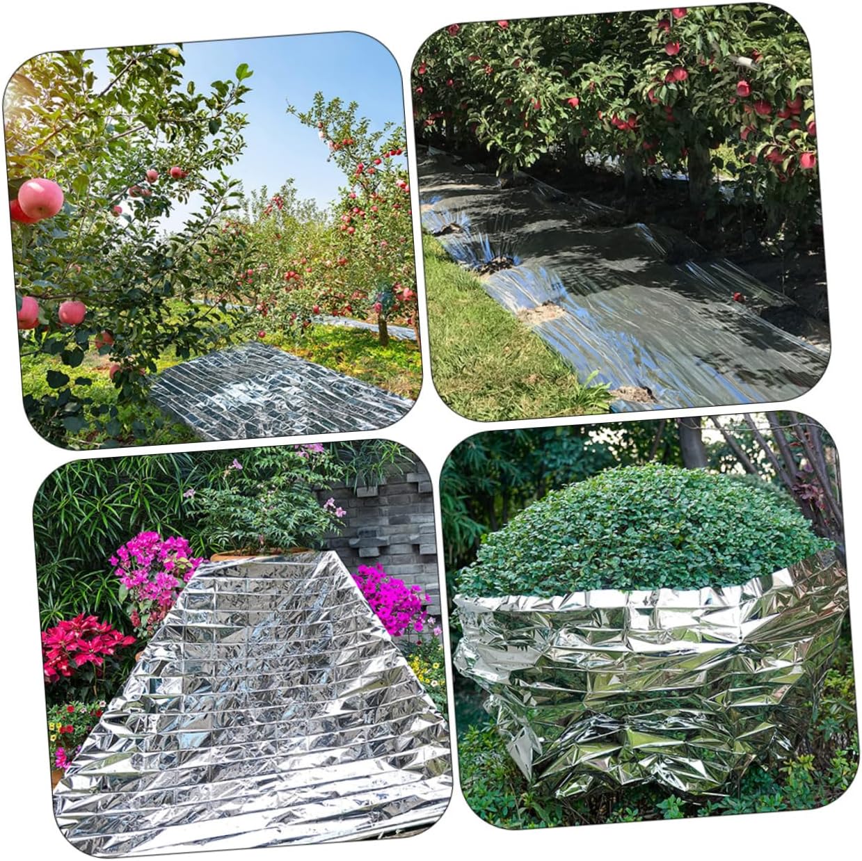 BESPORTBLE Sturdy Reflective Garden Film Reusable Greenhouse Cover for Winter Plant Protection and Emergency Use High-Performance Insulation for Healthy Plant Growth