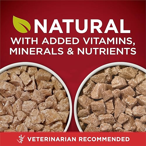 Miniatura 3 de Purina ONE SmartBlend True Instinct - Alimento en lata para perros adultos Grain Free Beef & Wild-Caught Salmon, Grain Free Chicken & Duck, Grain