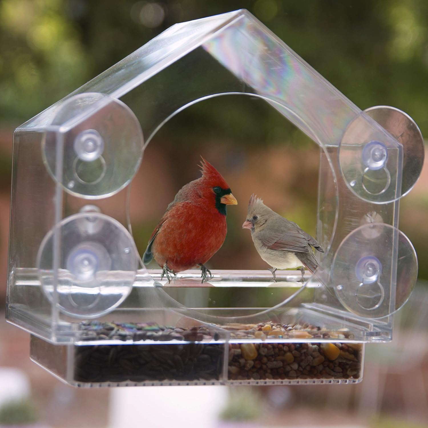 Nature Anywhere Fresh, Premium Wild Bird Seed for Outside Wild Birds with No Fillers. Save on Bird Food and Get More Birds in Your Feeders Guaranteed. Keep Your Garden Birds Healthy! (5 Lbs.)