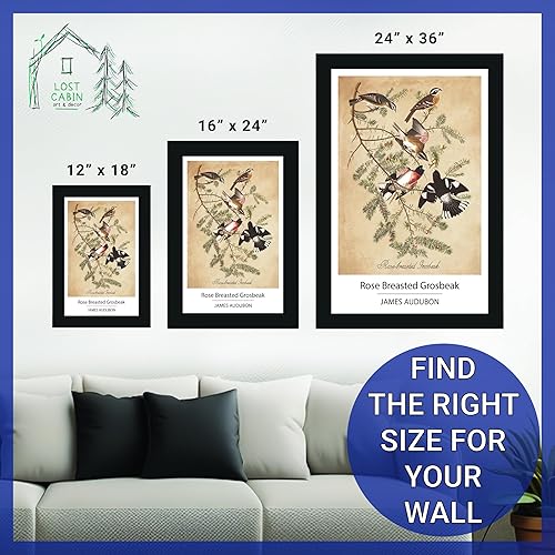 Vista 116 de Towee Bunting by James Audubon - Marco biselado negro de 12 x 16 pulgadas, decoración artística enmarcada para pared, reproducción de pinturas