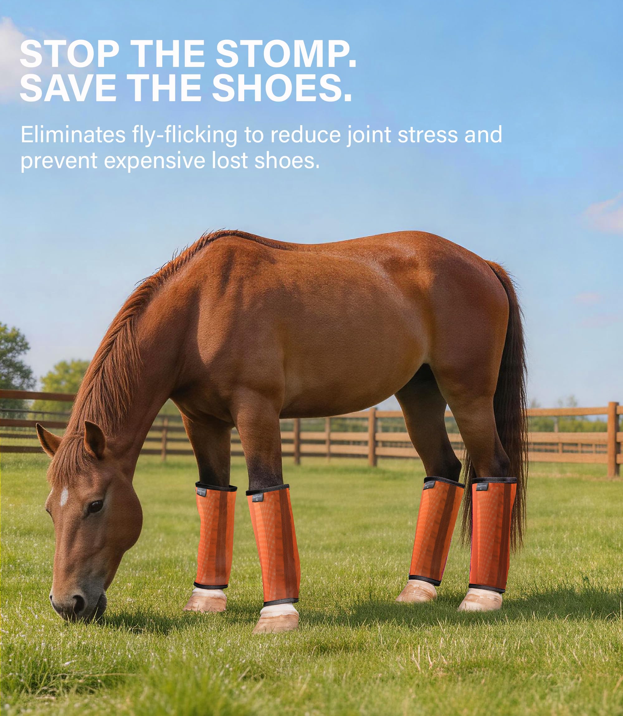 Lot de 4 guêtres de cheval en maille respirante pour protection contre les insectes et les rayures, protège-jambes confortables pour pâturage, randonnée et utilisation quotidienne, orange vif