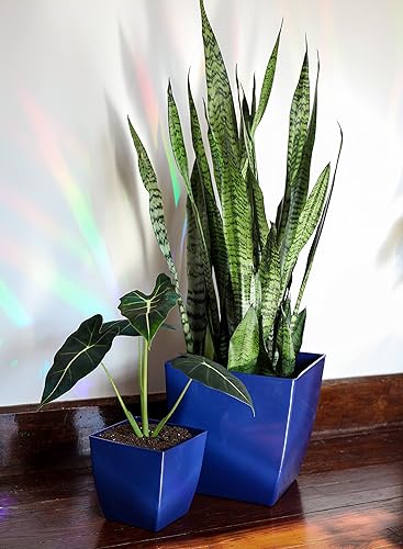 Miniatura 3 de The HC Companies Aria - Maceta cuadrada de 6 pulgadas, maceta de plástico para plantas de interior y exterior, flores, hierbas, negro brillante