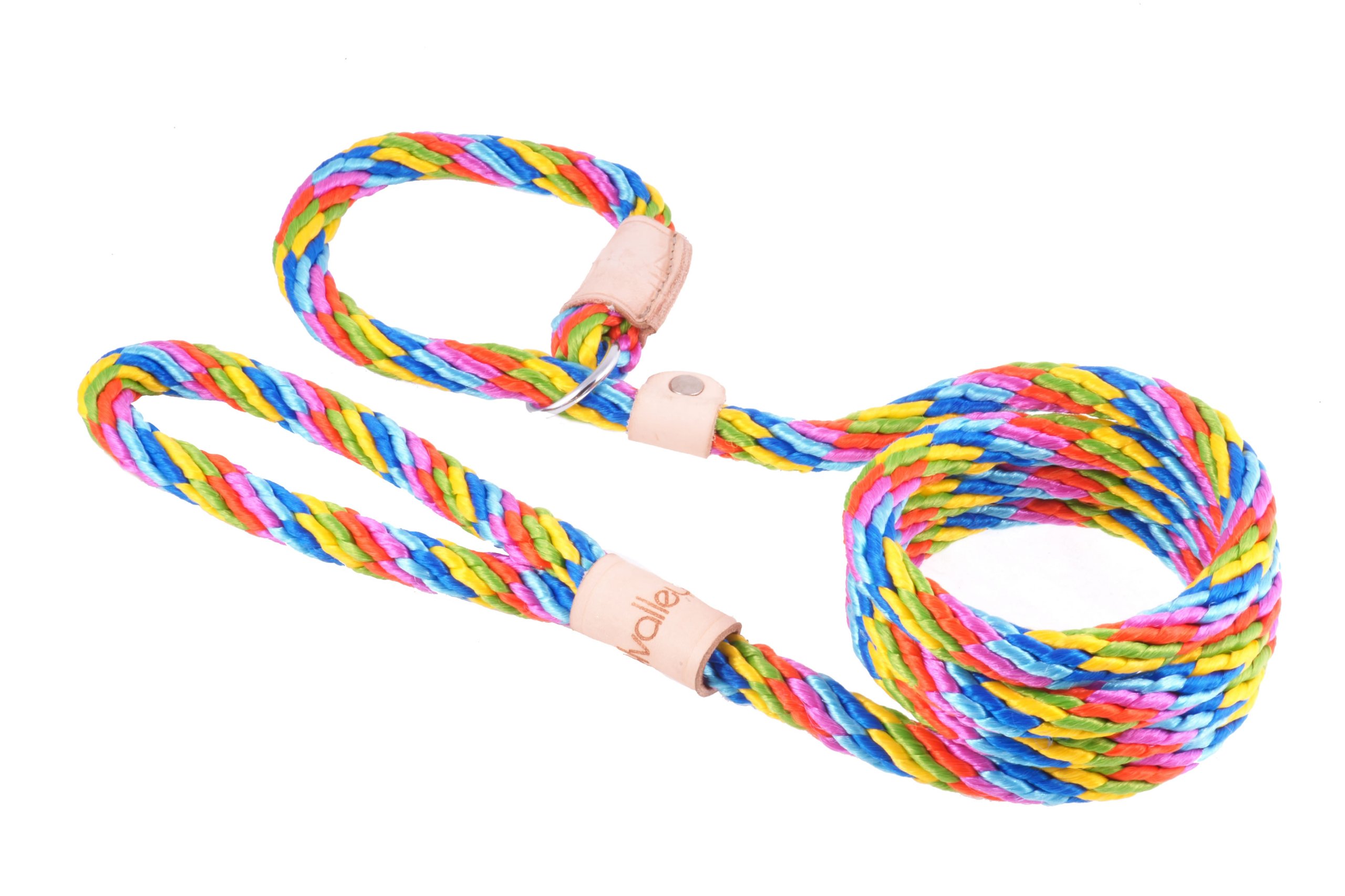 Laisse lasso pour chiens d'arrêt Alvalley Sport XL, idéale pour la chasse et les balades