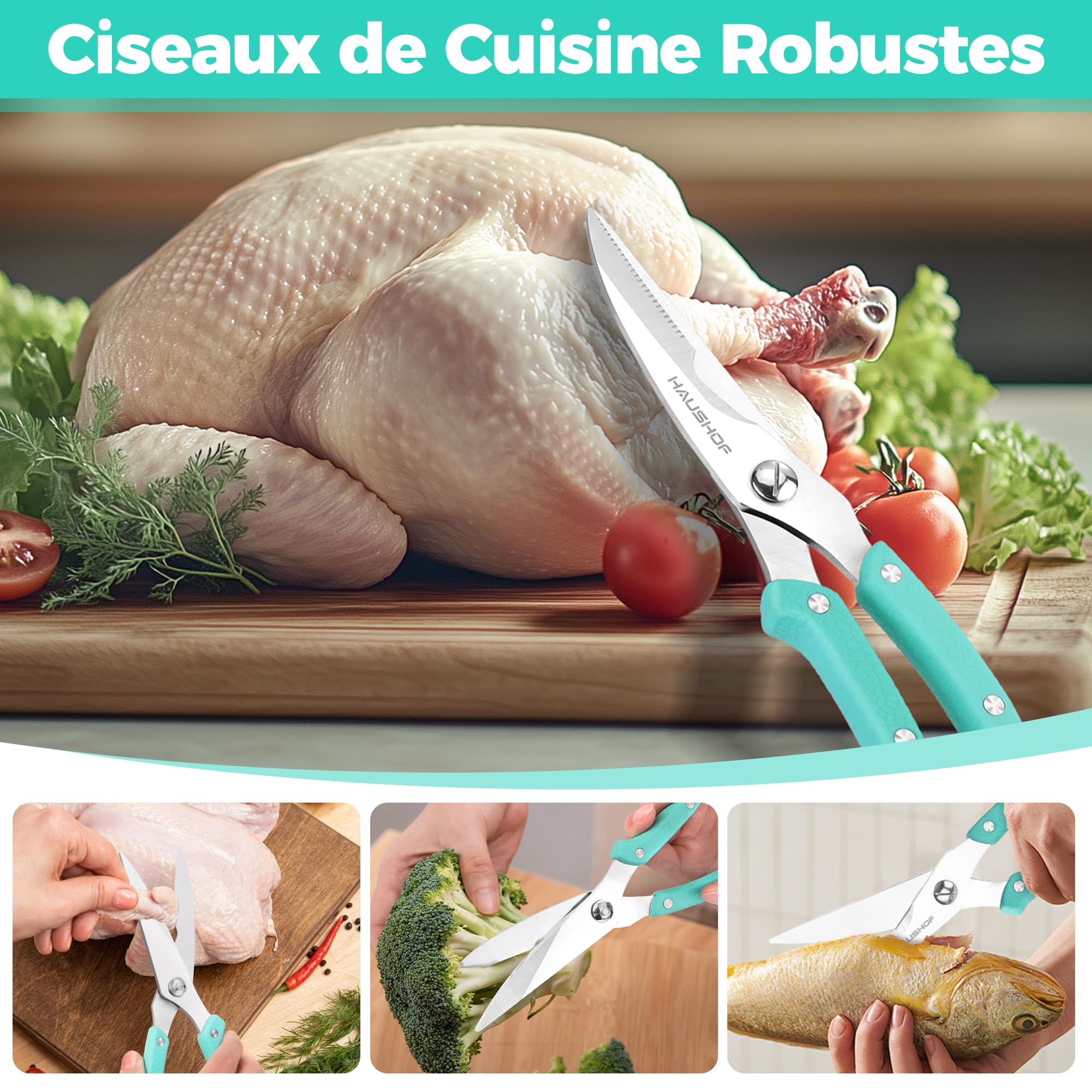 HAUSHOF Ciseaux à Volaille Robustes 255 mm, Ciseaux de Cuisine Professionnels en Acier Inoxydable Robustes et Tranchants pour Poulet, Viande, Poisson, Os et Légumes