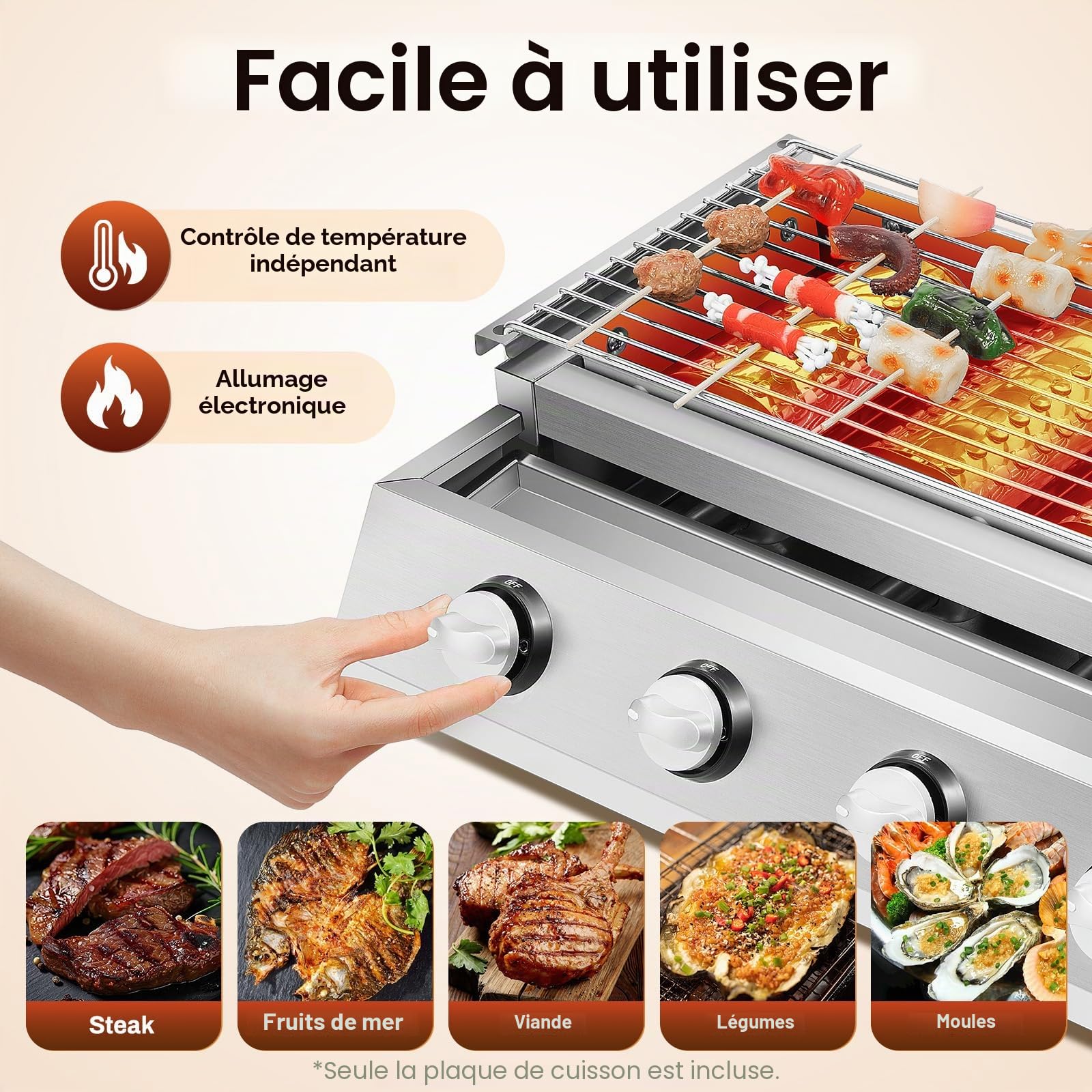 Barbecue à gaz professionnel en acier inoxydable avec grille de cuisson, hauteur réglable, barbecue à gaz amovible, 4 brûleurs, pour camping, balcon, jardin