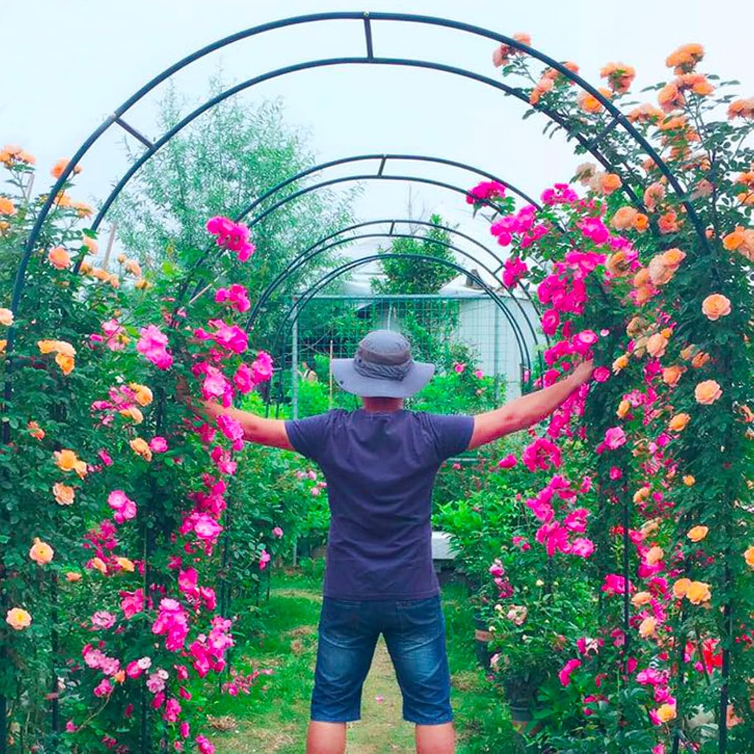 Garden Arch Trellis, Metal Pergola Arbor, Base Lawn Garden Freestanding Arched Metal Shelf Plant Climbing Support Sturdy and Weatherproof Black White Green ( Color : White , Size : 120x220x40CM )