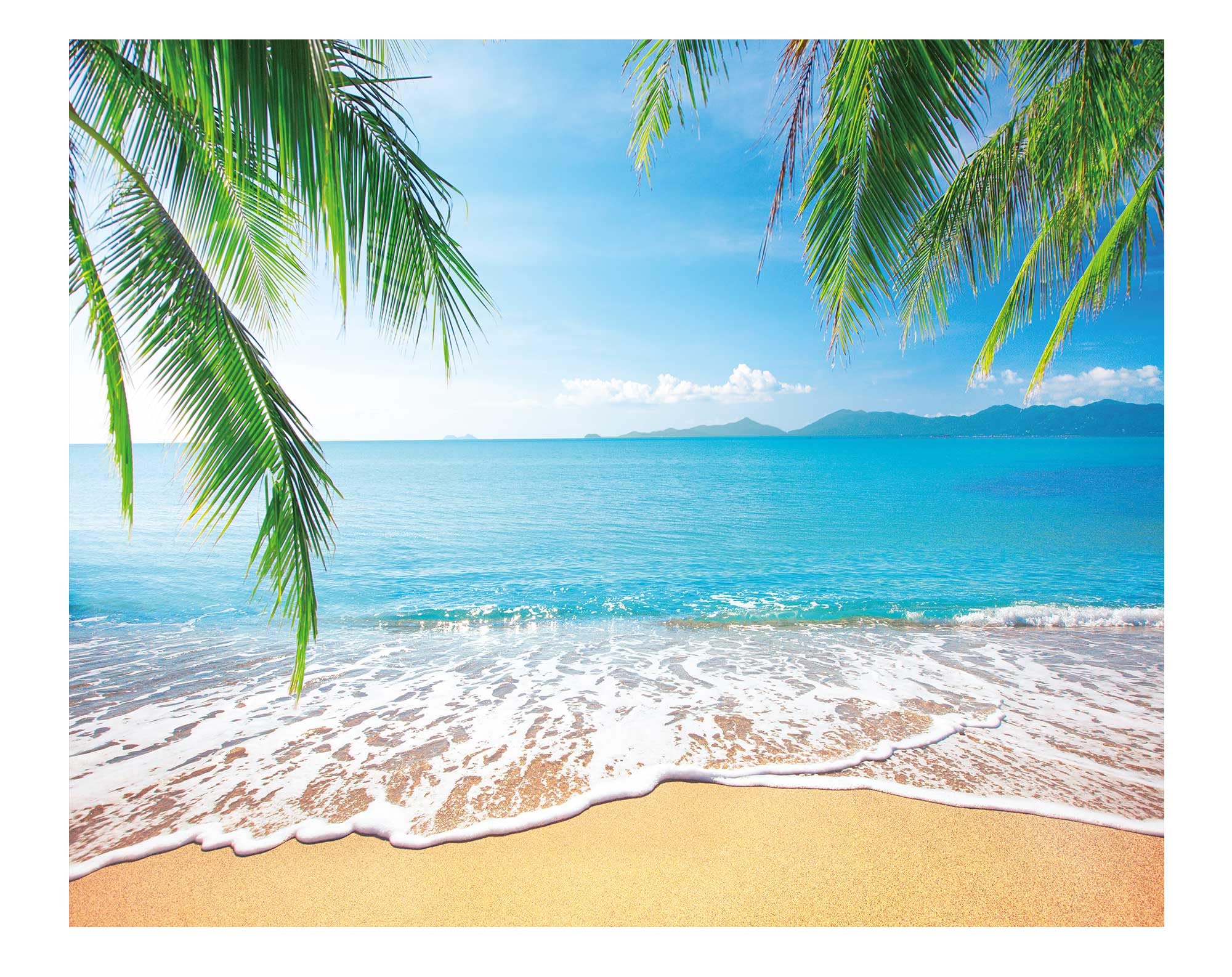 Yeele Tropischer Strand Hintergrund – Runde Fotokulisse Für Geburtstag, Baby-Party & Mehr