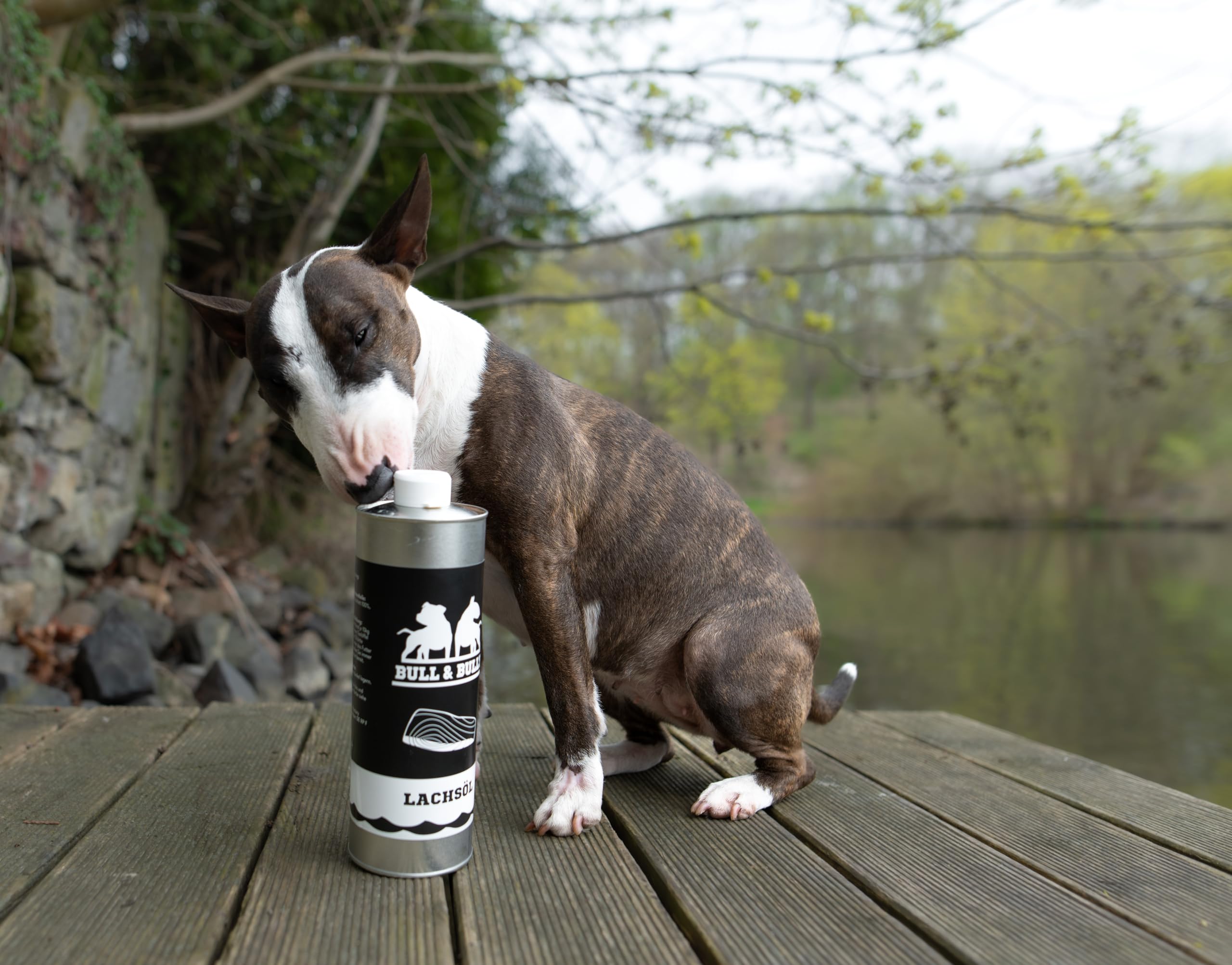 BULL & BULLY - Huile de saumon pour chien 1 l - Huile de poisson 100 % naturelle pour chiens comme huile de saumon pour chien - Complément d'huile Barf idéal - Source pour chien oméga 3 - Pressée à
