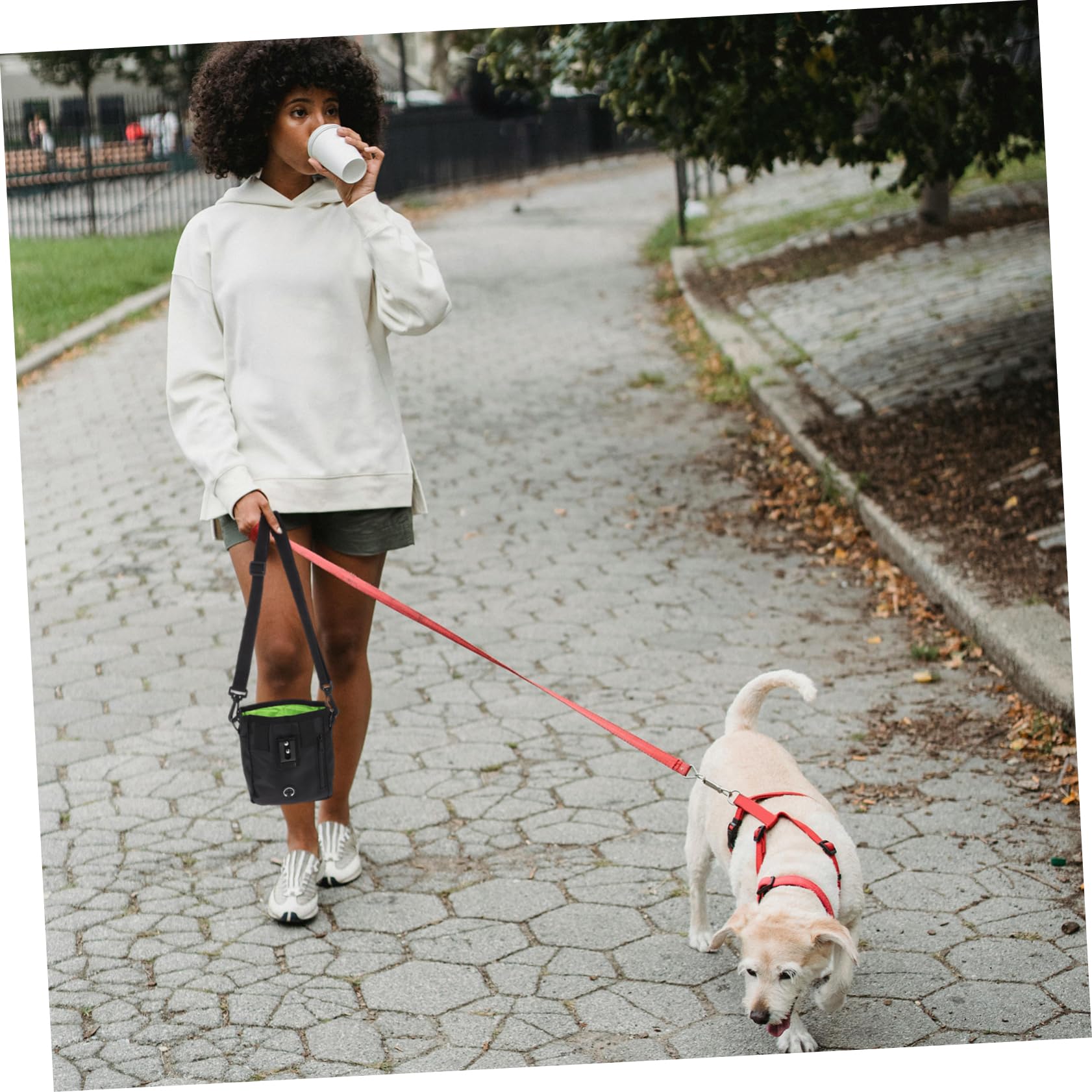Bolsa De Mensajero para Entrenamiento De Perros Bolsa para Premios con Silbato para Entrenar Mascota Parques o Abiertos