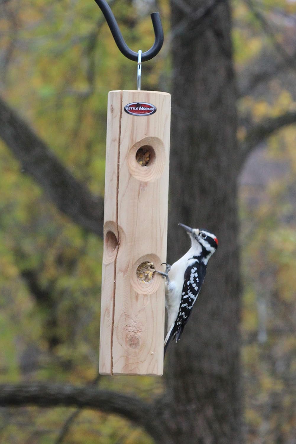 Kettle Moraine Cedar Suet Plug Log Feeder