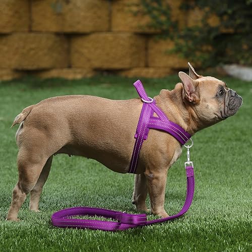 Miniatura 5 de Plutus Pet Arnés sin tirones para perro, con acolchado de malla transpirable, arnés reflectante ajustable a prueba de escapes, arnés de chaleco de