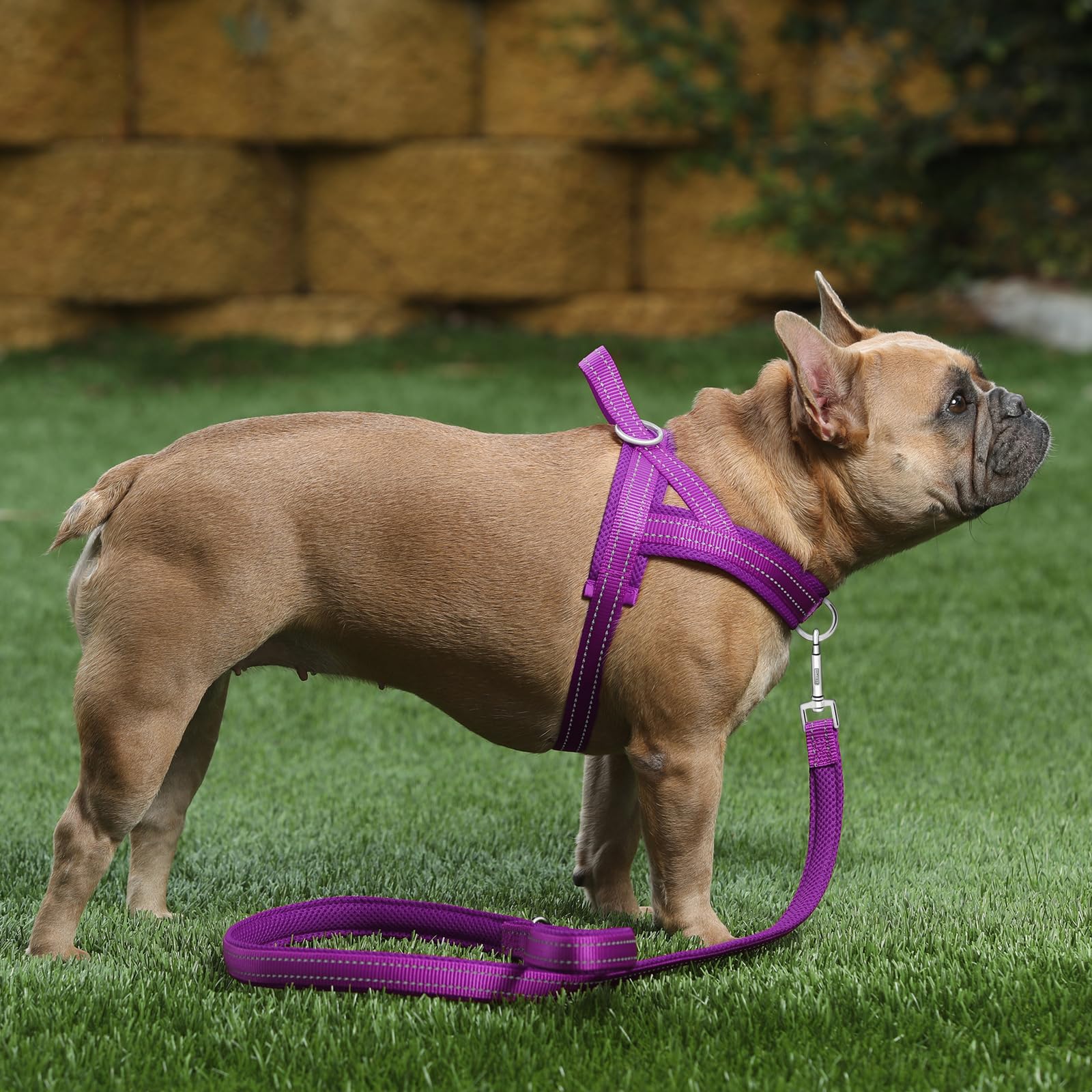 No Pull Dog Step In Harness And Set Adjustable Reflective Soft Mesh Corduroy Vest For Puppies Yorkie Chihuahua And Cats - Foto 7