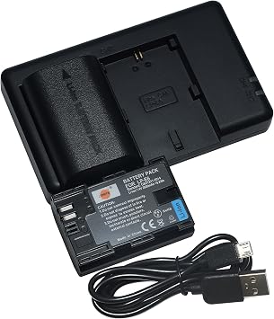 DSTE 2-Pack LP-E6 Battery + Rapid Dual Charger Compatible with Canon EOS R R5 R6 90D 5D Mark III 5DS 5DS R 6D 60D 70D 80D 7D Mark III