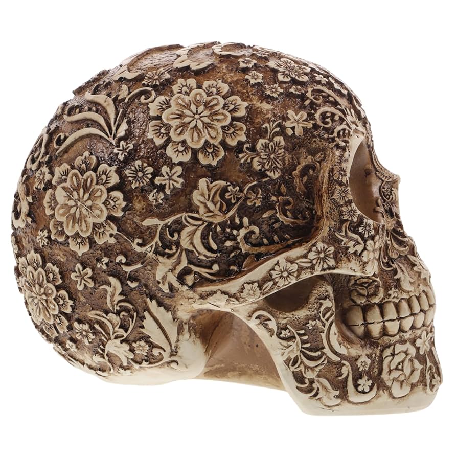 アンテロープ　頭骨 標本 インテリア装飾 アンテロープ 頭骨 標本 インテリア装飾 アンテロープ 頭骨 標本