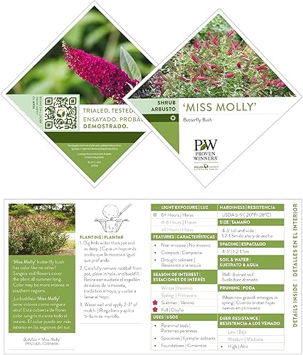 Miniatura 5 de Miss Molly Buddleia 2 galones, flores rosas y rojas
