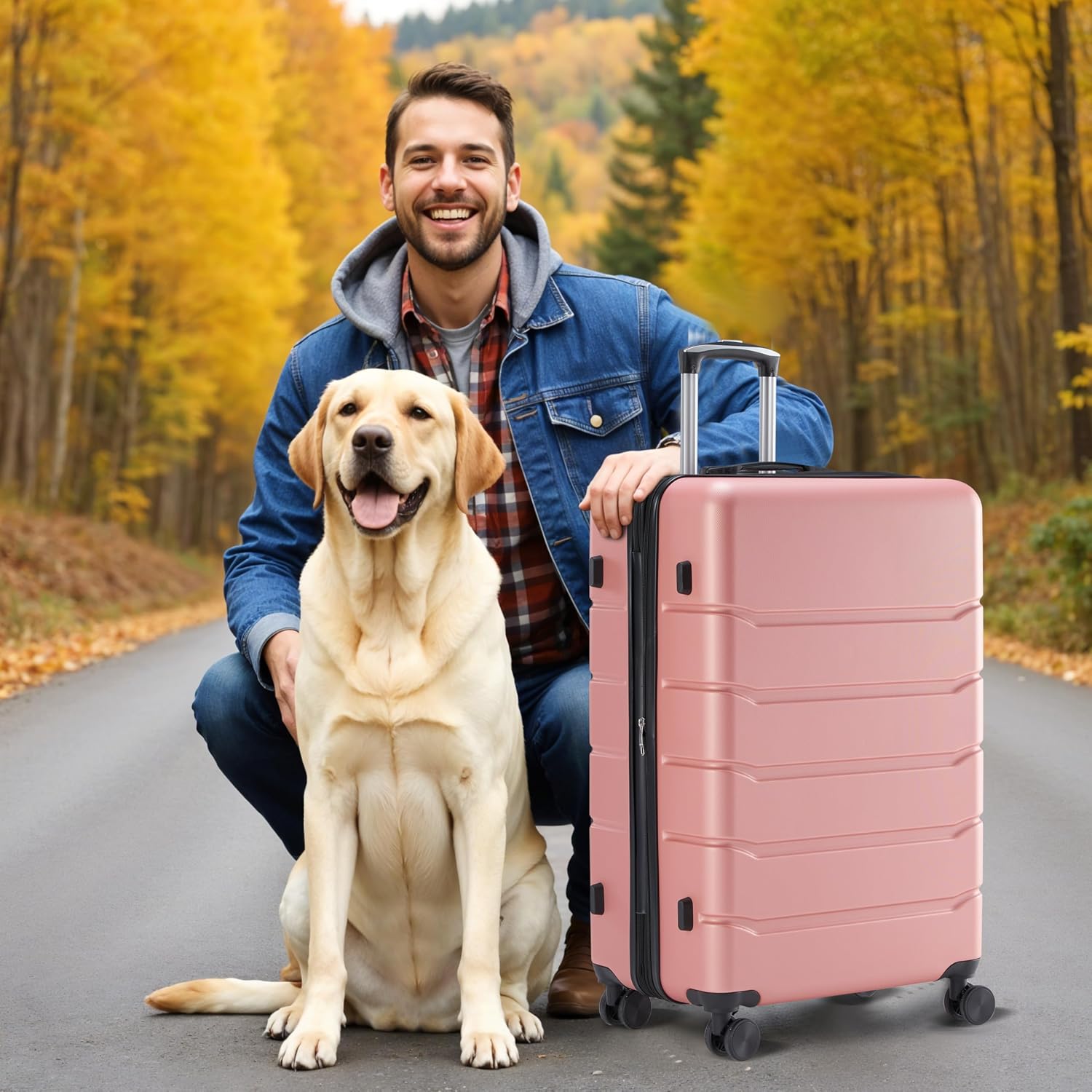 HealSmart Hardside Carry-On Luggage, Expandable Portable Hardshell Luggage with Spinner Wheels, Lightweight Suitcase TSA Lock, 20 Inch, Pink