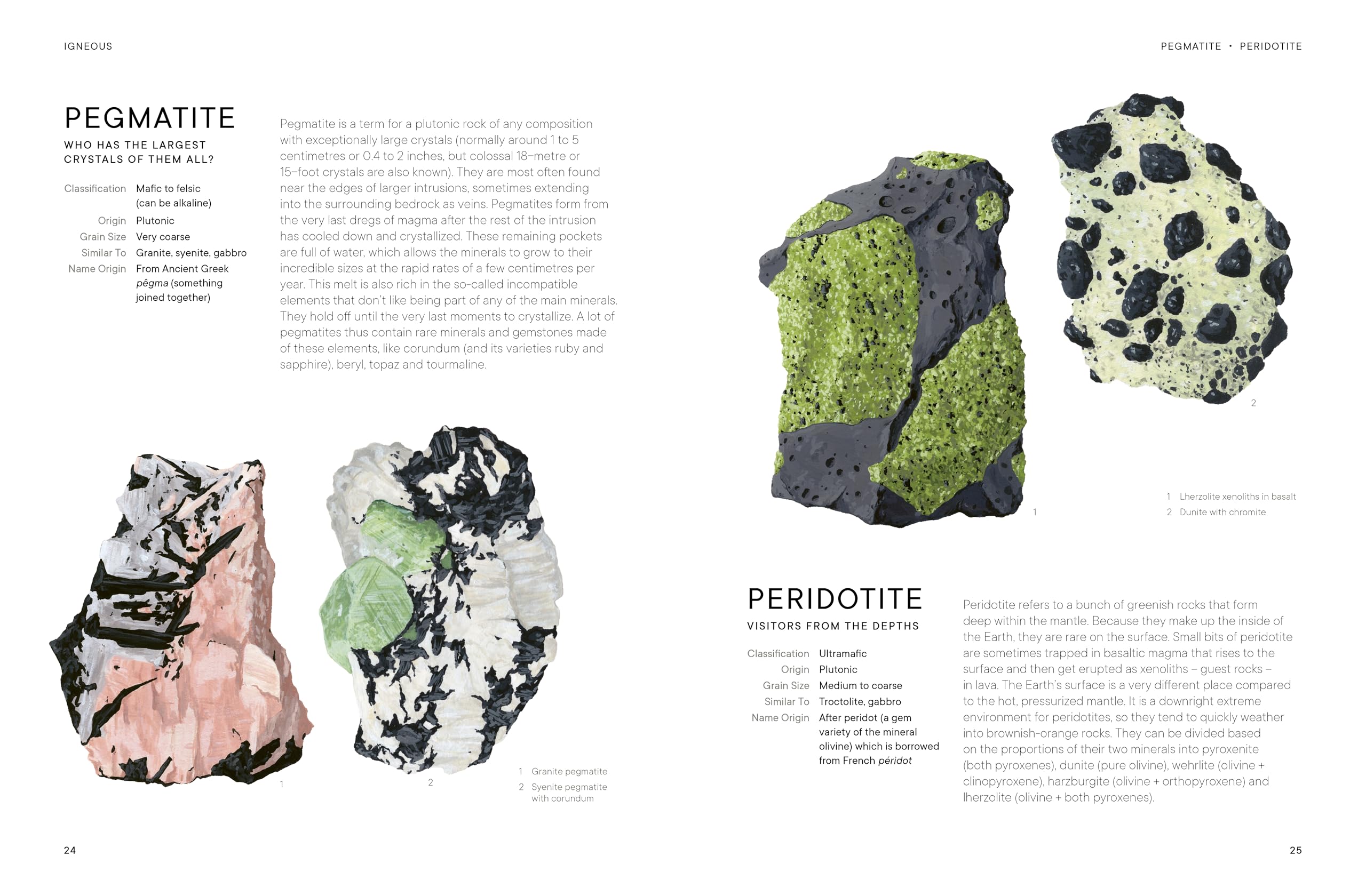 Rocks: A Guide to the Stones Around Us and the Stories They Tell