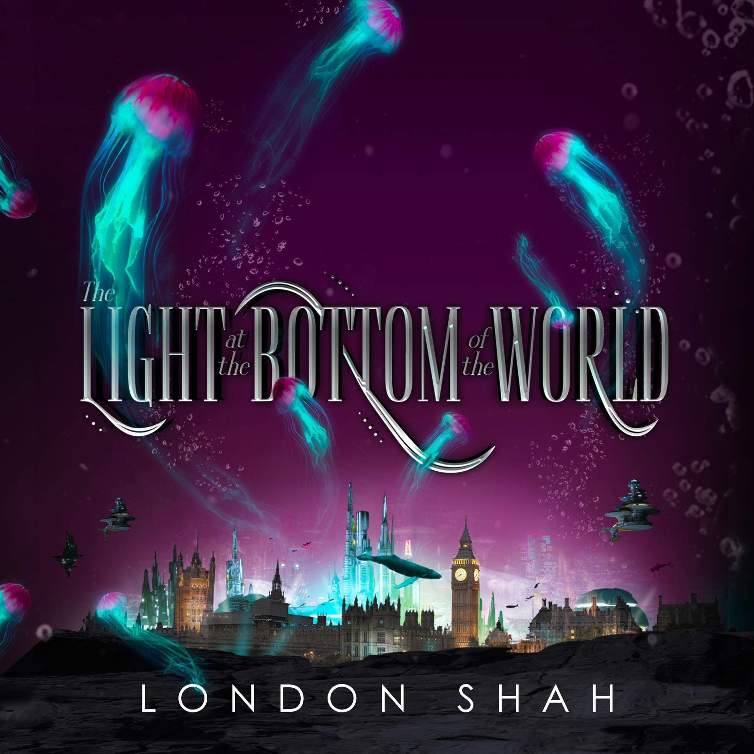 Cover art for The Light at the Bottom of the World