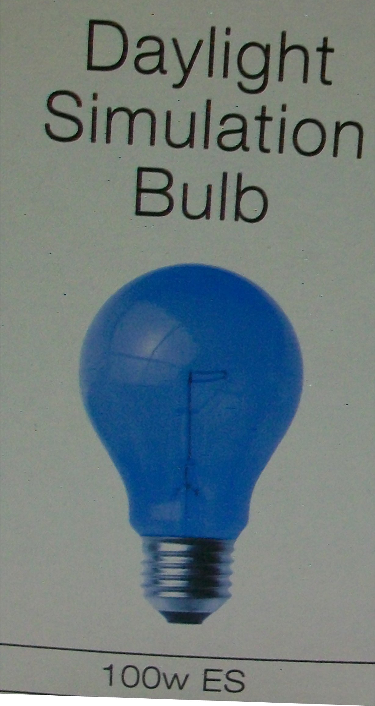 Daylight 100 Watt ES Bulb