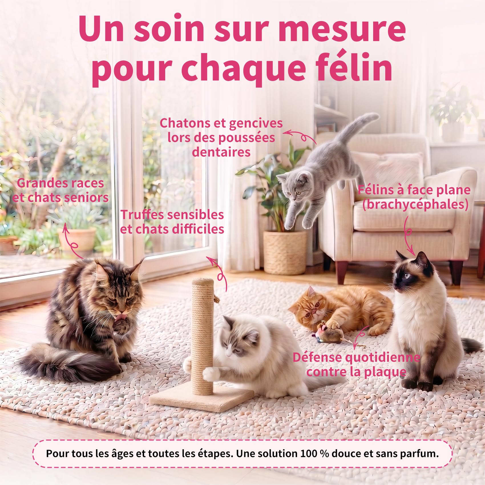 Dentifrice Enzymatique pour Chats - Kit Dentaire avec Brosse, Gel sans Parfum Contre la Plaque et Mauvaise Haleine, Prévient Le Tartre - 30g