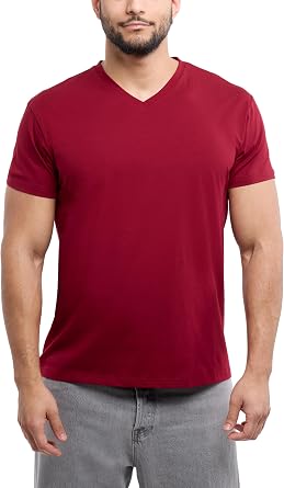 X RAY Mens V-Neck T-Shirts, Soft Cotton Short Sleeve Casual Slim Fit V Neck T Shirts for Men