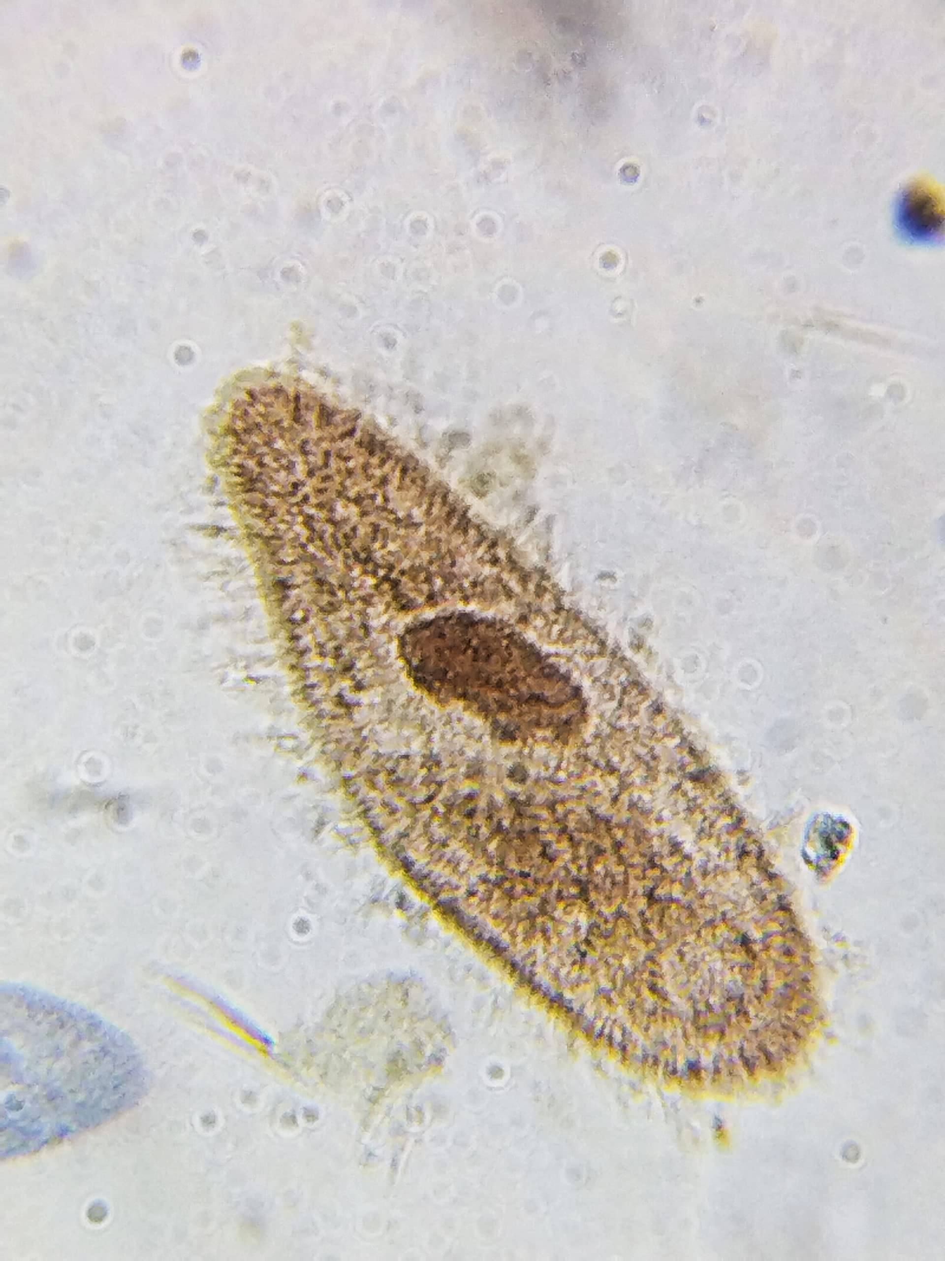 Anand traders 45x objective for microscope,superiy quality - Image 2 thumbnail