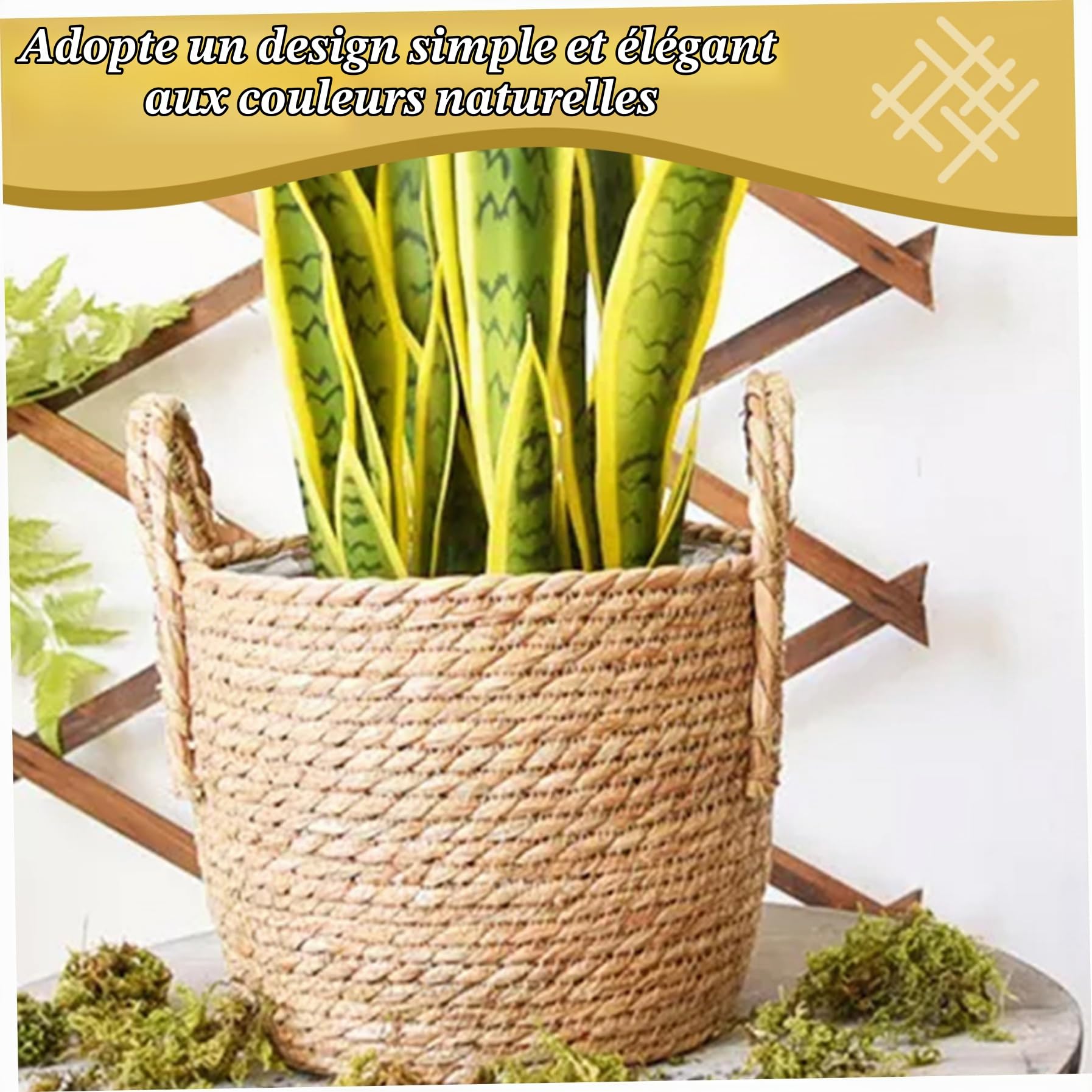 Panier végétal tissé, paniers de jardinières intérieurs de 25 cm Récipient de Rangement tissé avec doublures en Plastique Paille de Paille pour la Maison, S