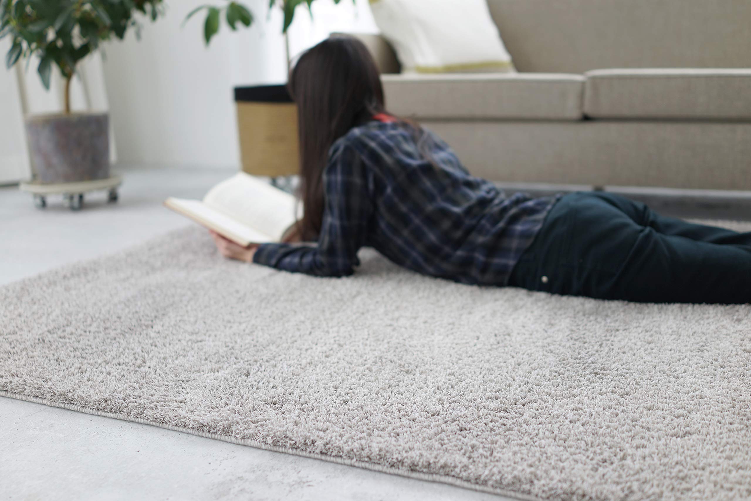 Amazon｜スミノエ(Suminoe) ラグ グレー 200×250cm ラビィ・フレーテ