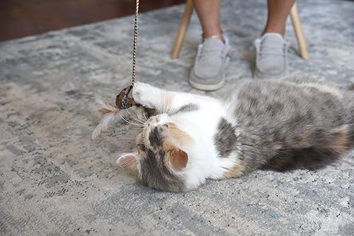 Miniatura 7 de OurPet's Play-N-Squeak Teathered & Feathered Play Wand - Juguete para gatos, para todos los tamaños de raza