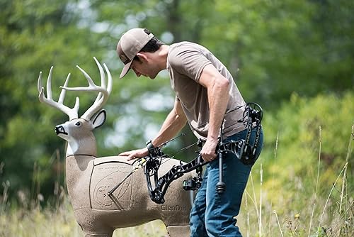 Miniatura 5 de GlenDel Pre-Rut Buck Objetivo de tiro con arco 3D con núcleo de inserción reemplazable