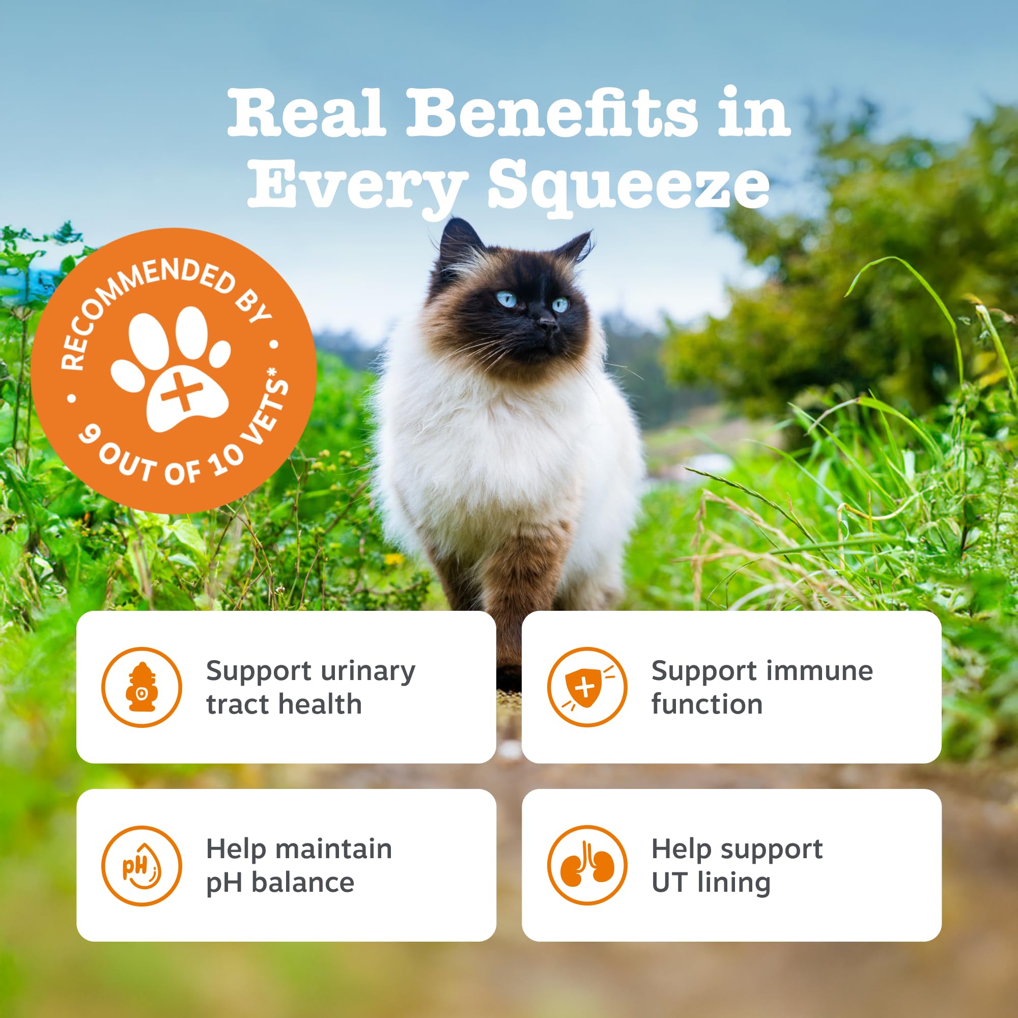 Zesty Paws Urinary & Renal Paste for Cats, 75ml - Image 3