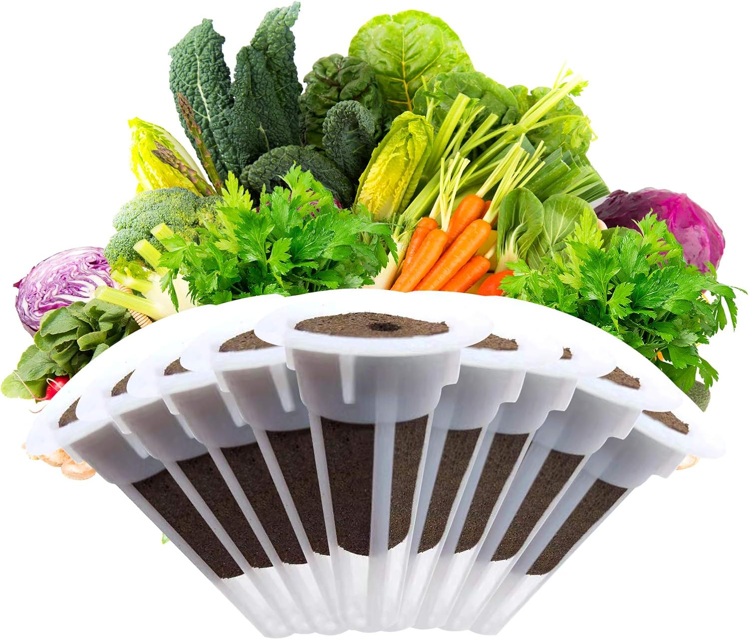 changsha 50 pcs Grow Baskets Set, Grow Sponges and Grow Plant Basket