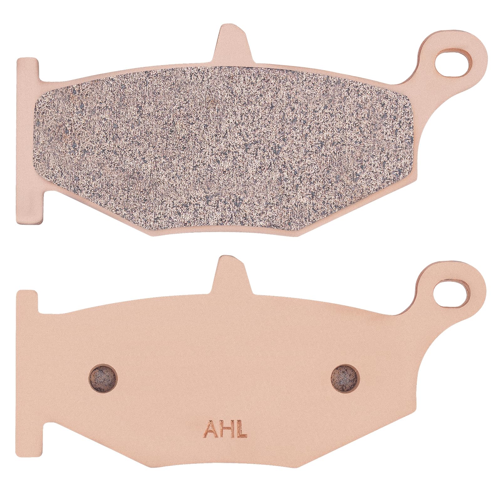 AHL- Motocicleta Pastillas de freno Trasero para SUZUKI GSR 600 K6/K7/K8 2006-2010 (Cobre sinterizado)