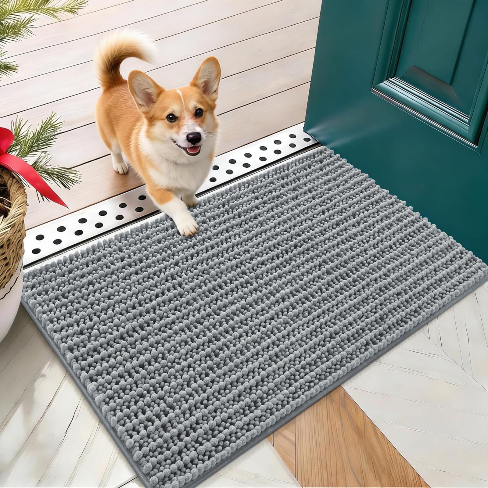 OLANLY Dog Door Mat for Muddy Paws 24x16, Ultra-Absorbent Chenille Mud Mat