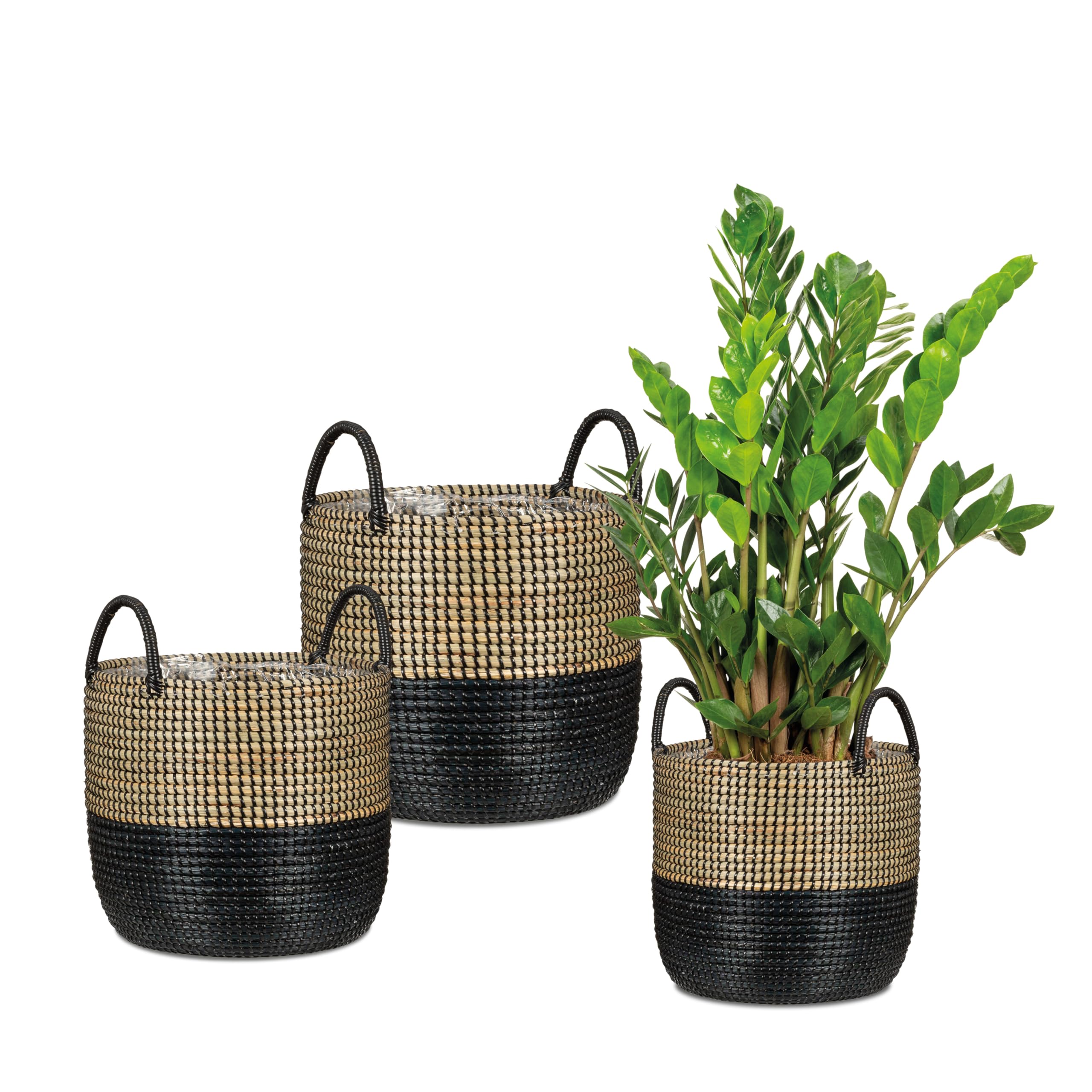 Scheurich Jonc de mer 27 - Jardinière en osier avec poignées en jonc de mer - Couleur : noir naturel - Diamètre : 27 cm - Hauteur : 23,5 cm - Volume : 13,1 l