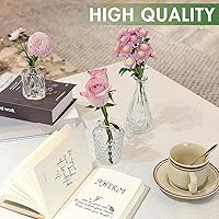 Vista 8 de Aheroi Juego de 32 Piezas de Jarrones Pequeños, Jarrones Transparentes para Centros de Mesa, Lindos Jarrones de Cristal Pequeños para Flores, Mini