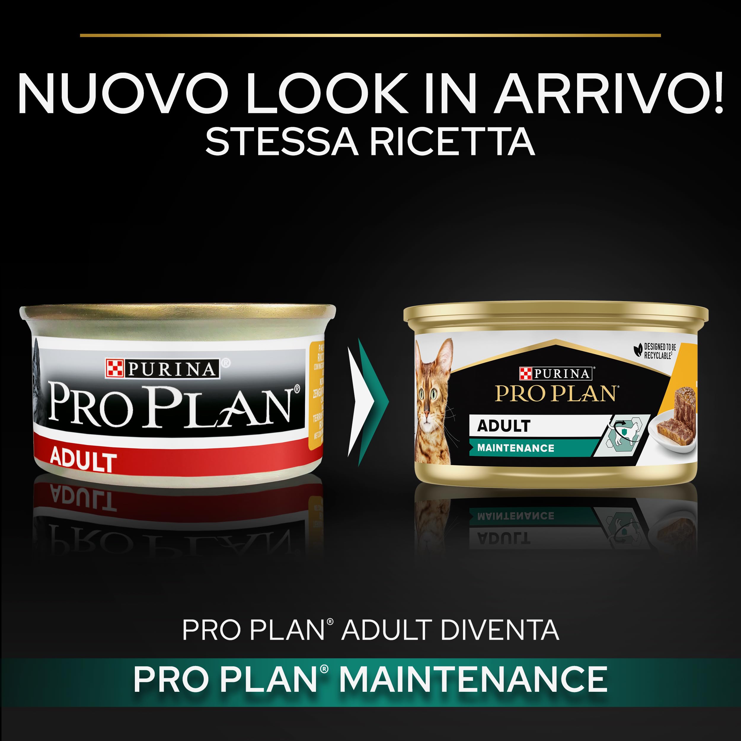 PURINA PRO PLAN | Adult STERILISED MAINTENANCE | Aliment Complet pour Chat Adulte Stérilisé | Aide à maintenir une bonne santé urinaire | Terrine | Au Poulet | Boîte | Lot de 24 x 85g