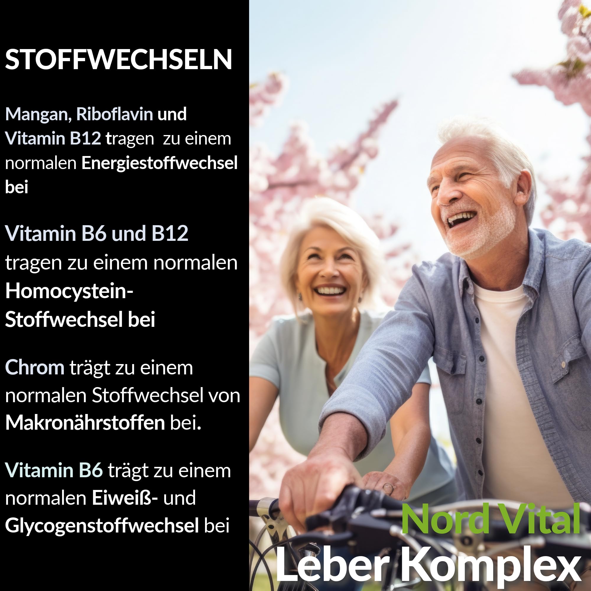 Leber Komplex mit 15 aktiven Inhaltsstoffen - Mariendistel, Artischocke, Löwenzahn, Brokkoli, Cholin, Desmodium, schwarzer Knoblauch, Kurkuma und mehr - 120 Kapseln - in Deutschland hergestellt