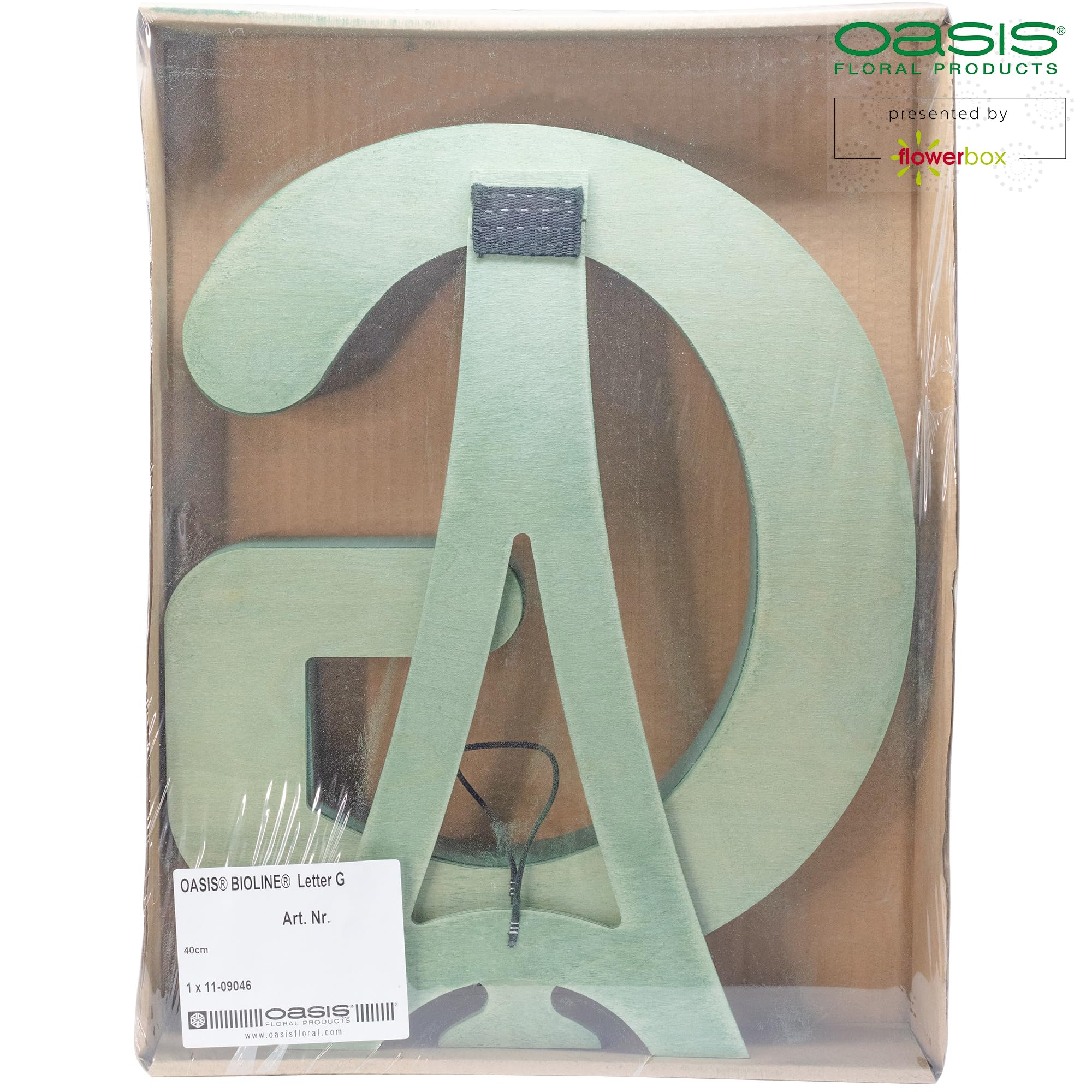Flowerbox Oasis pianka biolina litera G 37 cm masa wtykowa gąbka