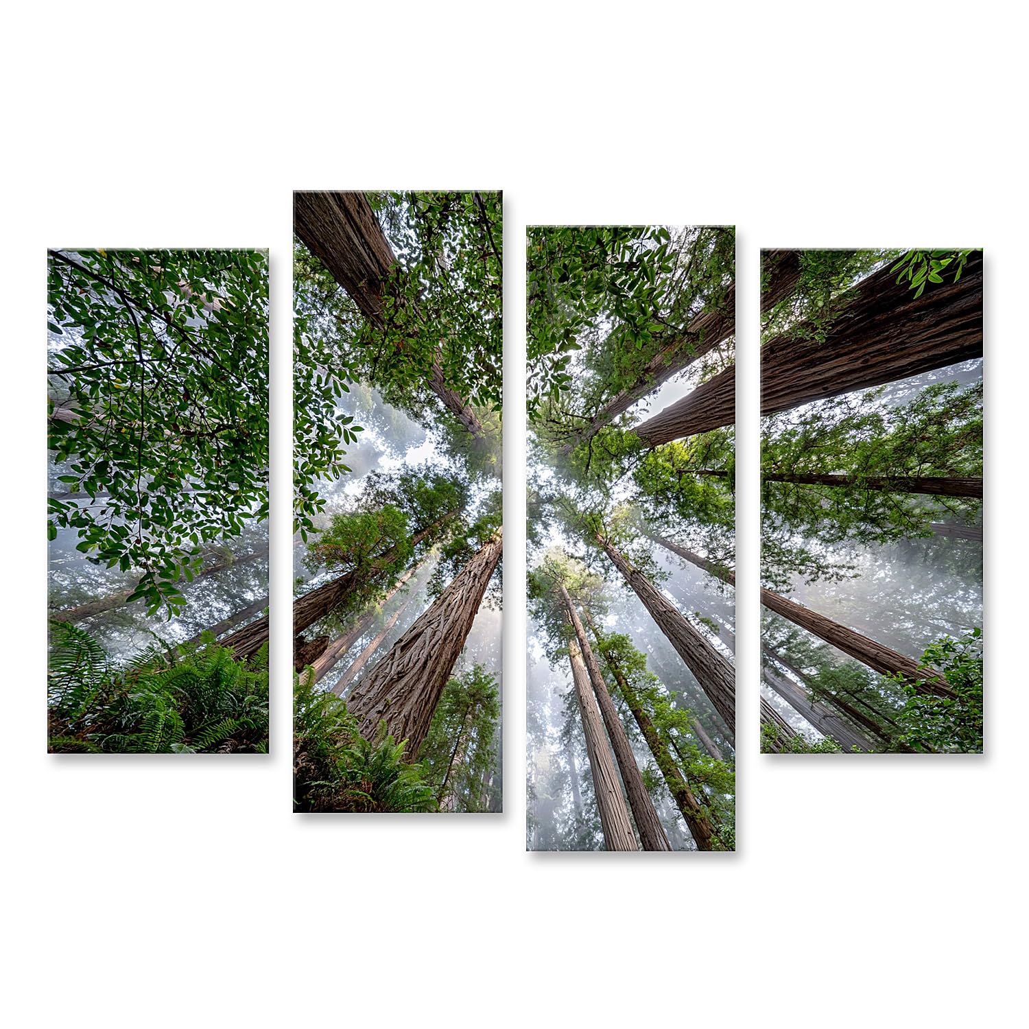 islandburner Quadro su tela Alto Redwood gigante murale soggiorno per gli amanti della natura - 4 pezzi