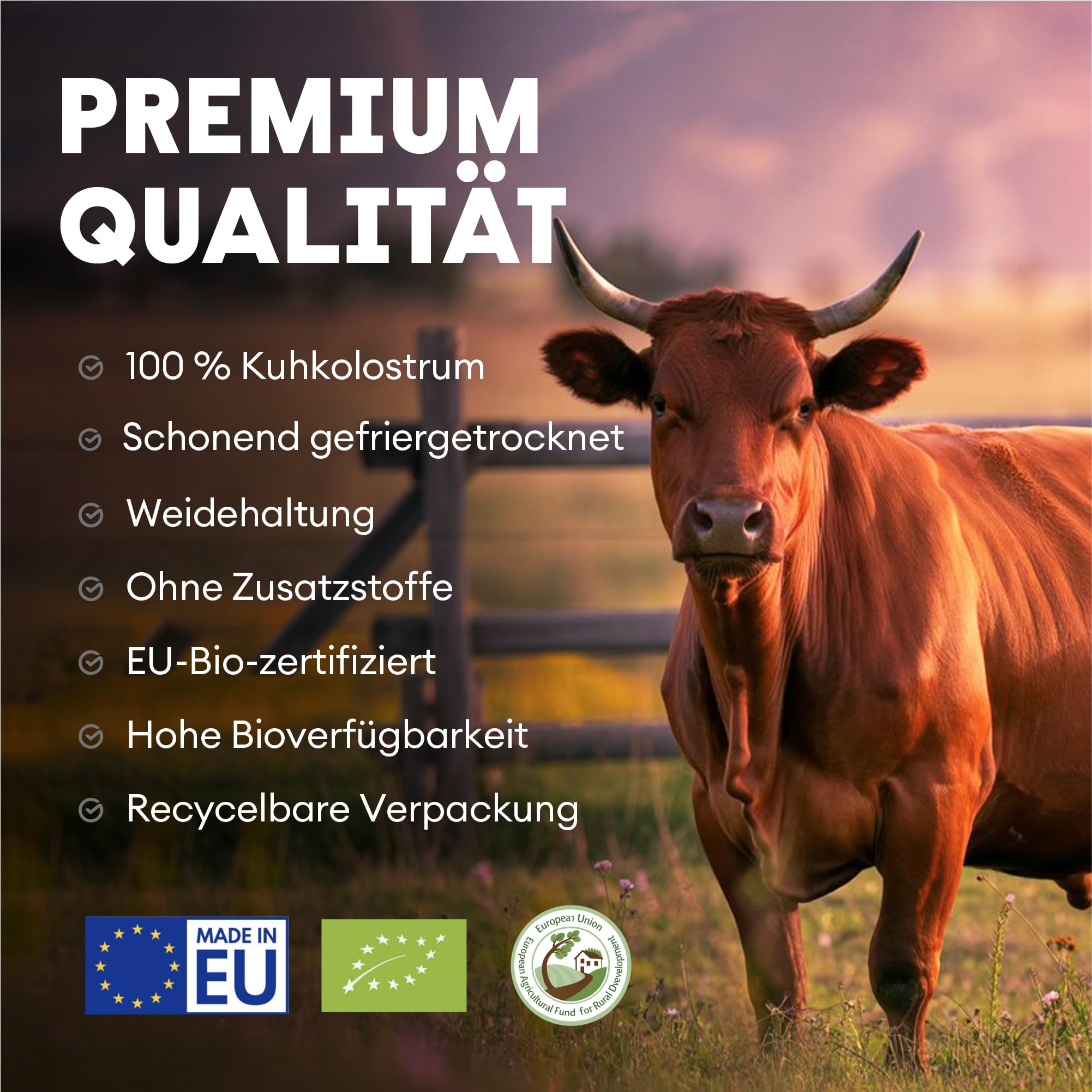 Nutriest Colostrum Kapseln (180 Stück) – Europäische Weidehaltung | 100% Grasfütterung | Für Darmgesundheit & Immunsystem | Enthält 30% aktives IgG