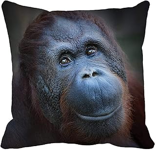 phjyjyeu Funda de almohada con diseño de animal feliz sonrisa de los borneos, orangután pongo Pygmaeus de 40,6 x 40,6 cm