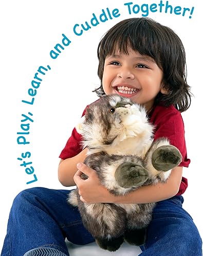 Miniatura 3 de Ricky The Maine Coon - Peluche de 16 pulgadas