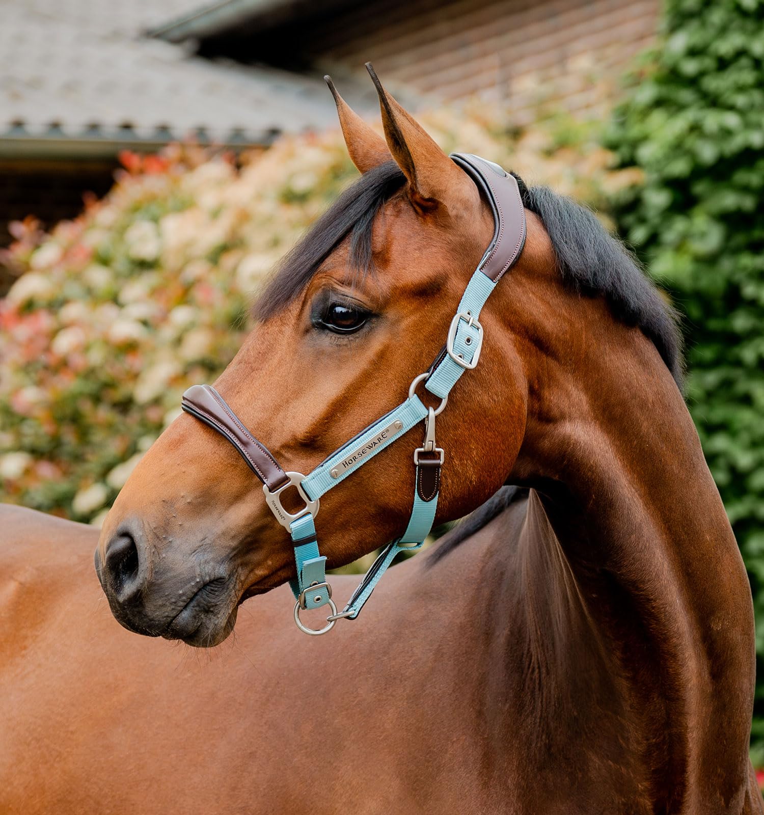 Horseware® Signature Wettkampfhalfter