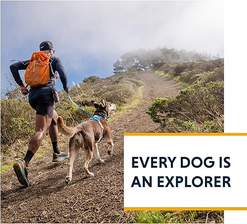 Miniatura 9 de Ruffwear, Hi & Light, arnés ligero para perro diario, correr, caminar, senderismo, uso durante todo el día